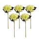thumbnail image 1 of Advancent Juego de plantas artificiales duraderas de bajo mantenimiento de 5 uds. Para entornos aptos para mascotas, amplia aplicación para Decoración Verde, 1 of 6