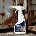 thumbnail image 4 of AuroraX Stainless Steel Cleaner and Polish All-Purpose Household Cleaners Spray Natural Heavy Duty Non-Toxic Kitchen Stain Remover Spray for Pots Burnt Food Grease Rust, 4 of 7