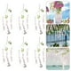 thumbnail image 5 of KAKOWELY 6 piezas de flores artificiales decorativas para boda, flores de glicina, flores de boda, 5 of 5