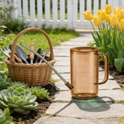 Dvkptbk Long Spout Watering Can Indoor Small Watering Cans for House Plants Flowers home decor