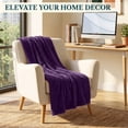 thumbnail image 3 of PAVILIA Soft Lightweight Fleece Throw Blanket for Couch Sofa, Purple, 50x60, 3 of 9