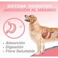 thumbnail image 4 of Aceite De Salmón Omega 3 Y 6 Para Perros Y Gatos 250 Ml, 4 of 5