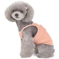 thumbnail image 2 of Xihbxyly Almacén de Liquidación Nuevo Estilo de Moda Primavera y Verano Pequeños Disfraces de Cabestrillo Chaleco para Mascotas, 2 of 3