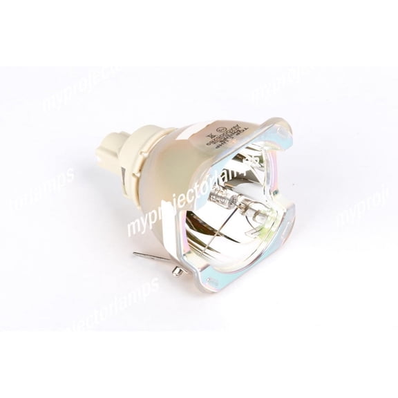 Digital Projection 111-896 Bare Projector Lamp