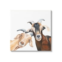 Happy Goat Smiling Animals Animals & Insects Graphic Art Gallery Wrapped Canvas Print Wall Art