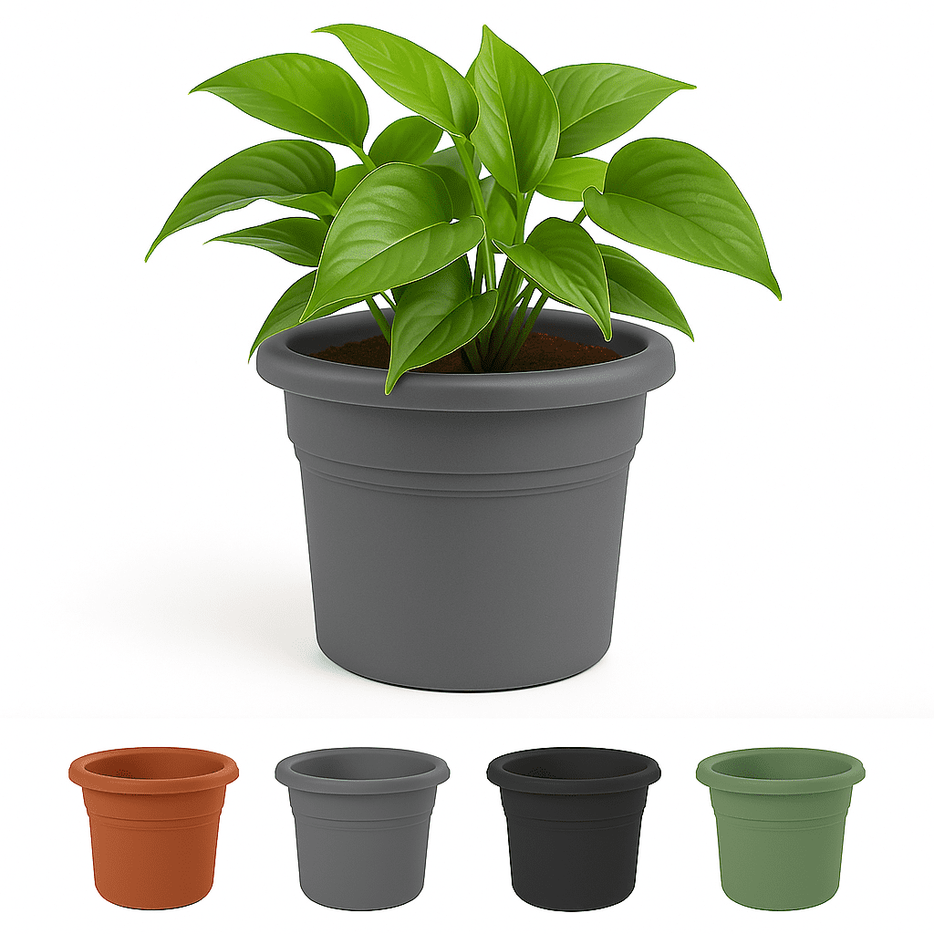 趣味・スポーツ・実用 PLANTED   7 c47aae65-2d7a-4ef6-bf01-