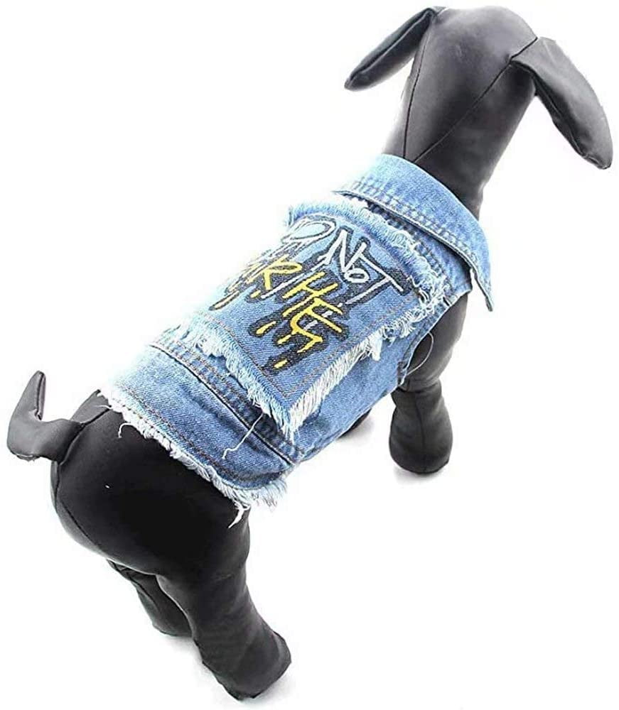 chihuahua jeans