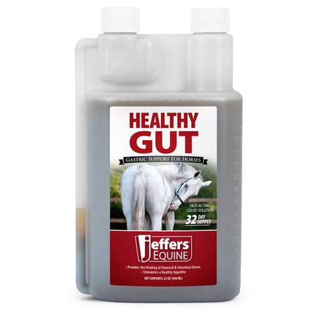 Jeffers Healthy Gut Horse Gastric Support – Liquid Digestive Supplement for Horses Prone to Ulcers, Easy to Feed Formula, Supports Gut Comfort & Balanced Digestion – 32 oz (32 Day Supply)