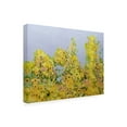 thumbnail image 2 of Allan Friedlander 'Clinging Vines' Canvas Art, 2 of 3