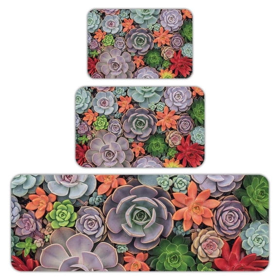 RKSupls Kitchen Rug Set 3 Piece Anti-Slip Flannel Floor Mats, Succulents Washable Absorbent Runner Mats for Kitchen Bathroom Home Decor