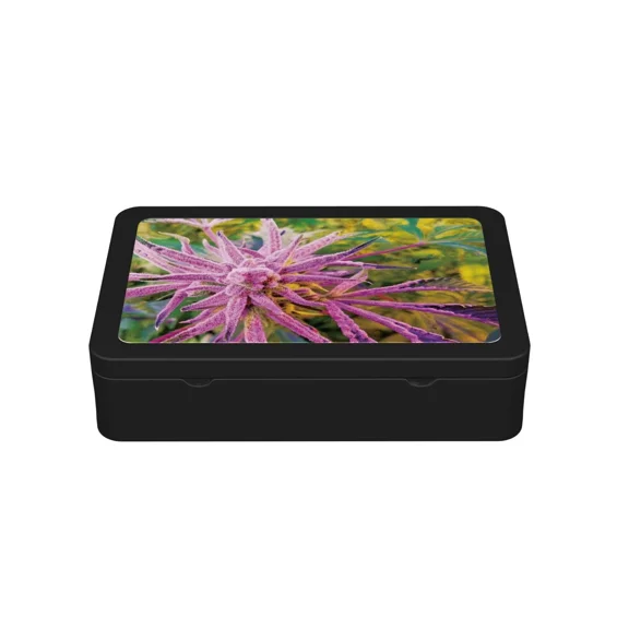 Stash Box Organizer Childproof Airtight with 3D Lenticular Sticker of Platinum Buffalo