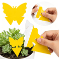 thumbnail image 5 of GJX 30 Pack Sticky Fruit Fly Trap and Fungus Gnat Traps for Indoor & Outdoor Disposable Bug Sticker Use for Mosquitos Insects Protect The Plant Non-Toxic And Odorless-Butterfly Shaped, 5 of 7