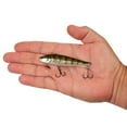 thumbnail image 4 of Berkley Ripfish, 9, Ghost Chrome Gill, 4 of 5