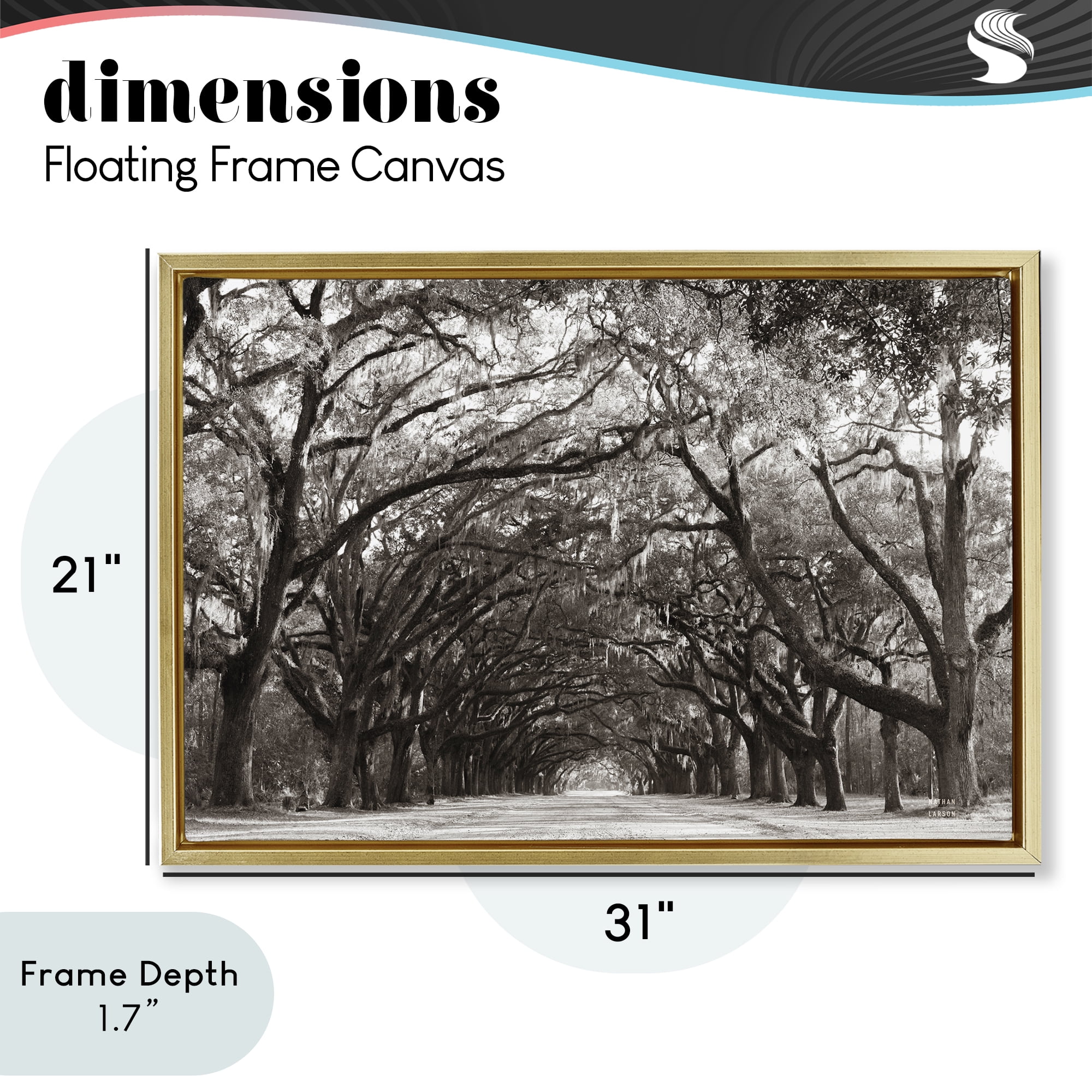 Stupell Industries Georgia Stroll Tree Tunnel Gold Framed Floater Canvas Wall Art, design by Nathan Larson
