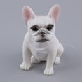 thumbnail image 4 of Figura de bulldog francés hecha a mano en resina Sentado blanco, 4 of 8