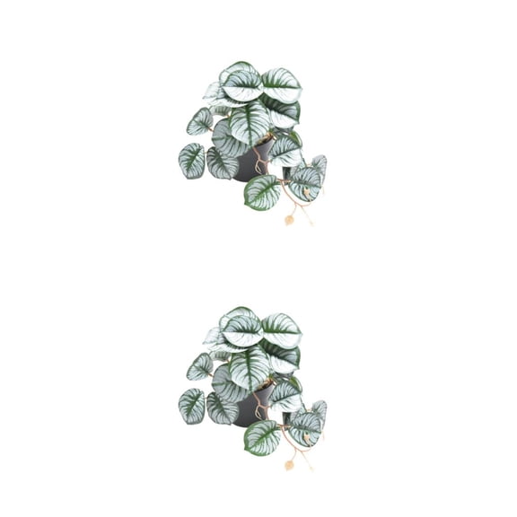 Advancent Hermosas plantas de terrario - Naturaleza Interior No necesita riego Jardín Plantas degradables Artificial Type2 NO2