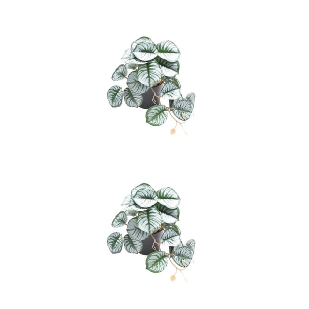 Advancent Hermosas plantas de terrario - Naturaleza Interior No necesita riego Jardín Plantas degradables Artificial Type2 NO2