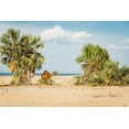 thumbnail image 2 of Jones, Alison 32x23 White Modern Wood Framed Museum Art Print Titled - East Africa-Kenya Lake Turkana Basin-Lobolo Camp-beach scene with camels, 2 of 4