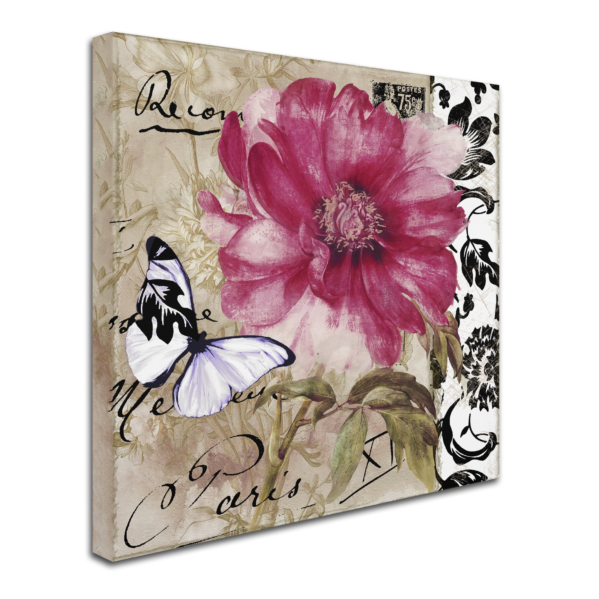 Trademark Fine Art "Le Pink" Canvas Art by Color Bakery