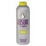 Leisure Time Spa O Filter Clean Cartridge Cleaner for Spas & Hot Tubs, 32 Fl Oz