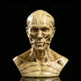 thumbnail image 4 of Modèle de Corps Humain Réaliste, Statue en Résine, pour Décoration de Fête Bar Maison - Jaune Antique, 4 of 6