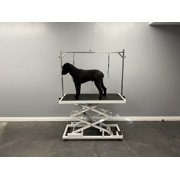 ELEVATION 48 Grooming Table (Basic Package)