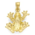 thumbnail image 2 of 14k Gold Tree Frog Pendant, Tropical Jewelry, Spirit Animal Gifts for Her with 18 inch Chain, 2 of 5