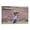 Frame-style, variant on Xavier Worthy Canvas Poster Artworks Picture Print Poster Wall Art Painting Canvas Gift Decor Home Posters Decorative 12x18inch(30x45cm)