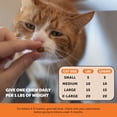 thumbnail image 5 of Dual Texture Hip & Joint Supplement for Cats (Chicken Flavor), 5 of 11