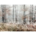 thumbnail image 2 of Weisz, Irene 14x12 White Modern Wood Framed Museum Art Print Titled - Always Magic in the Woods, 2 of 4