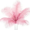 thumbnail image 3 of Relax love Ostrich Feather Plume 10Pcs Multi-Color Ostrich Feather Plume Decorative Pink Gold Purple Feather Craft Fashion DIY Large Feather Party Centerpieces for Home Wedding,Pink, 3 of 11