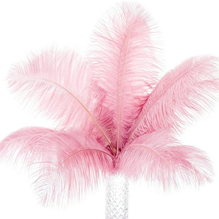 Leather Pink Ostrich Feathers 45-50 CM Decoration for Wedding Party Home  Carnival Crafts Plume Accessories 10 Pcs Wholesale