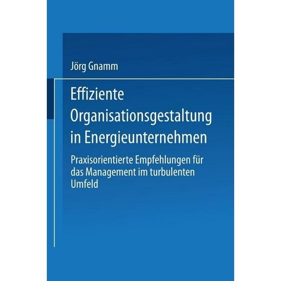 Duv Wirtschaftswissenschaft Effiziente Organisationsgestaltung in Energieunternehmen: Praxisorientierte Empfehlungen Für Das Management Im Turbulent, (Paperback)