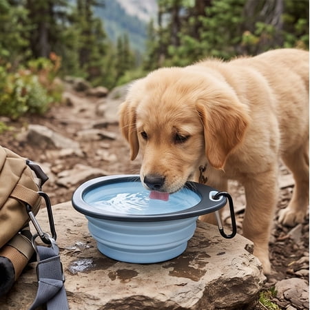Collapsible Travel Pet Bowl with Clip Hook - Portable Foldable Water and Food Bowl for Small Dogs Cats Outdoor Hiking and Camping