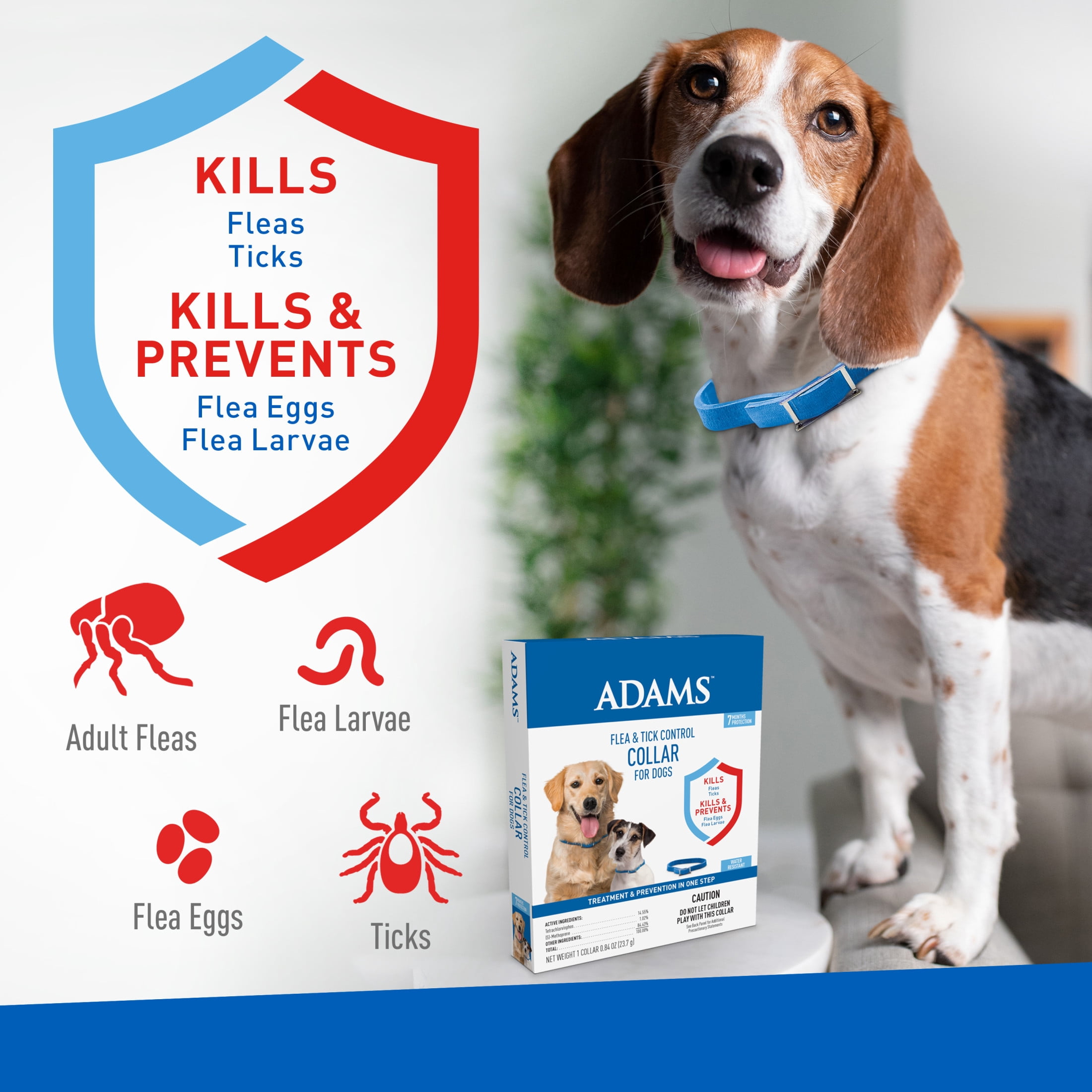 ADAMS Flea & Tick Control Collar for Dogs, 7-Month Protection, Adjustable Collar Fits Dogs & Puppies, Kills Fleas & Ticks