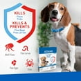 Picture Idea: Adams Flea And Tick Control Collar For Dogs And Puppies
