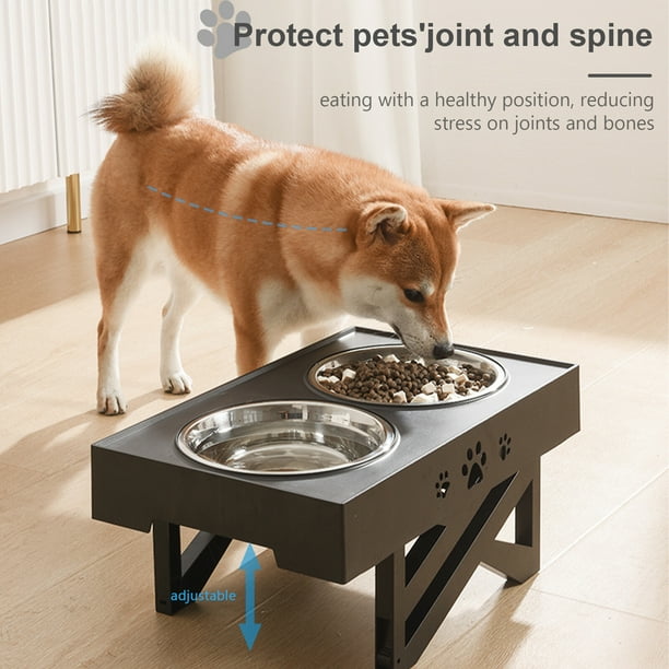 Pawque Cuencos Elevados Para Perros Con Cuenco De Alimentación Lenta