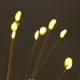 thumbnail image 3 of Luz De Tierra Iluminación de paisaje de fuegos artificiales con interruptor automático de luz de tierra solar para jardín Tmvgtek Para estrenar, 3 of 9
