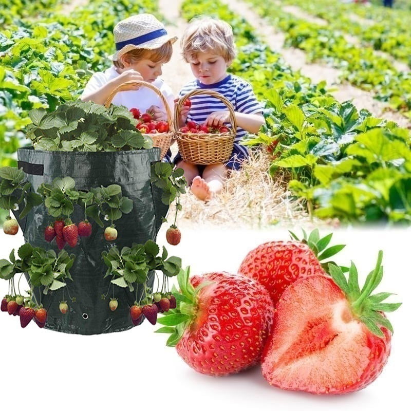 Garden Hanging Grow Bags Planting Pouch Potato Strawberry Planter Flower Bags