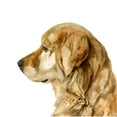 thumbnail image 2 of Barnes, Victoria 20x20 Gold Ornate Wood Framed with Double Matting Museum Art Print Titled - Pet Profile I, 2 of 4