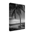 thumbnail image 2 of Trademark Fine Art 'Ocean View BW' Canvas Art by Debra Van Swearingen, 2 of 4