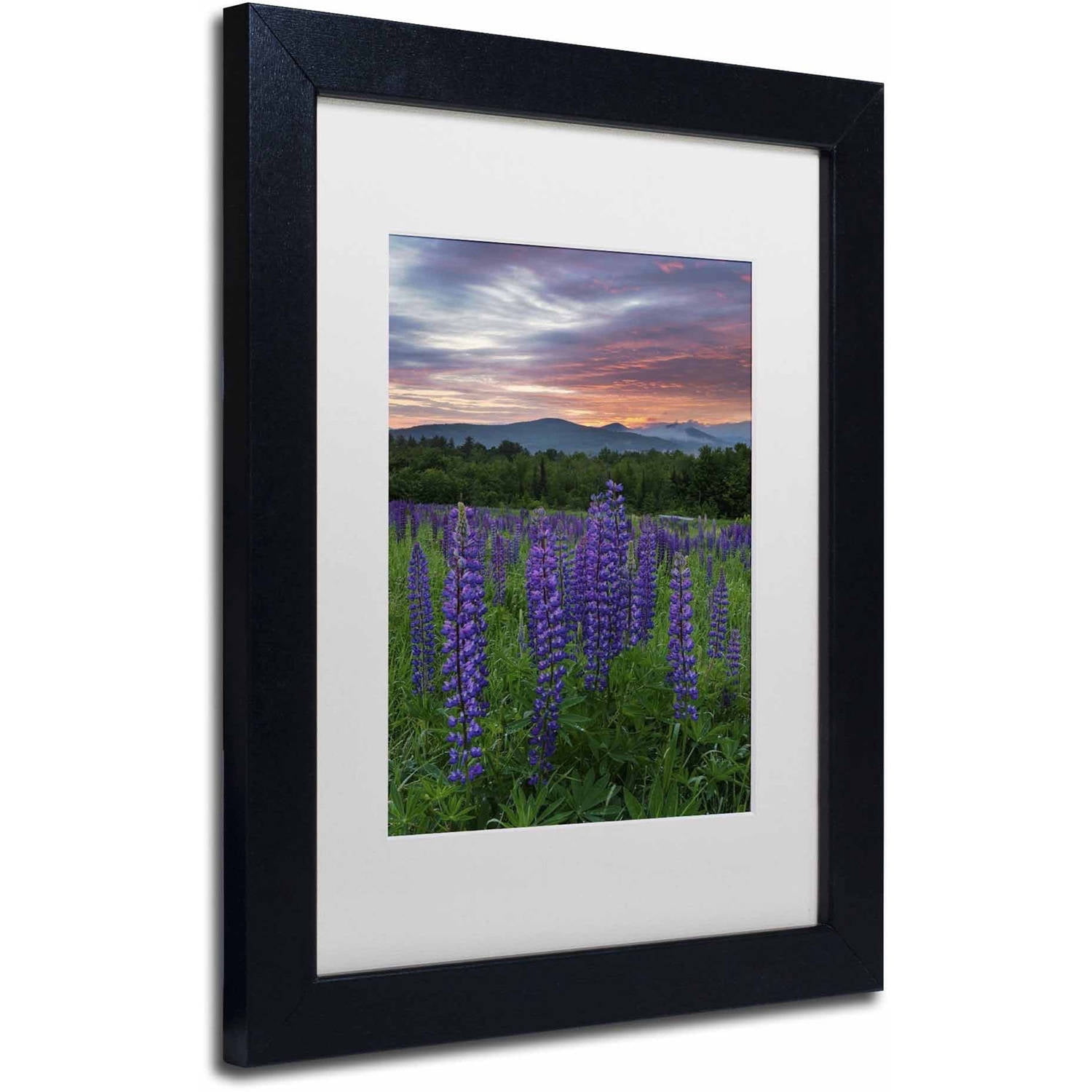 Trademark Fine Art 'Fire in the Sky' Canvas Art by Michael Blanchette Photography, White Matte, Black Frame