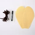 thumbnail image 4 of 12ML Cat Cockroach Costume DIY Kit - Realistic Funny Pet Halloween Outfit with Antennae for Small Medium Cats, Perfect for Parties & Photo Shoots, 4 of 6