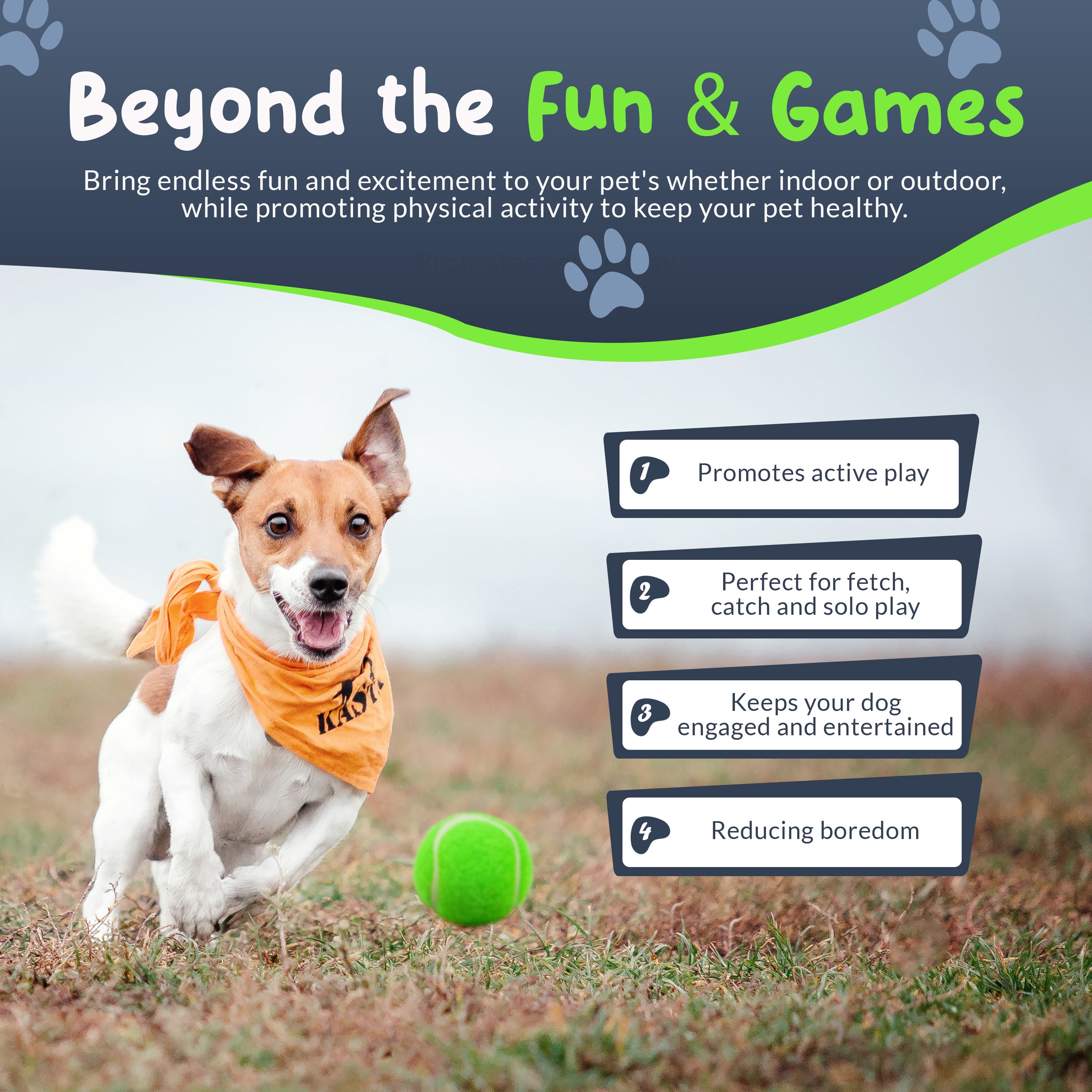 Petite Paws Squeaky Mini Tennis Balls for Small Dogs — 1.5 Inch, 12-Pack — Colorful Fetch & Training Toy