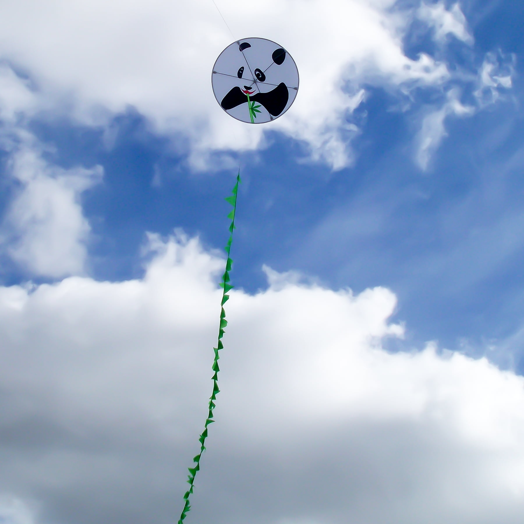 In the Breeze 3127 — Panda Round Kite — Fun Single-Line Kite for All Ages
