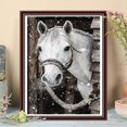 thumbnail image 2 of Taladro Pintura Diamante (DF3700) 5D DIY Completo Caballo Bordado Mosaico Craft Kit (w575) 30x40cm Hugtrwg Para estrenar, 2 of 2