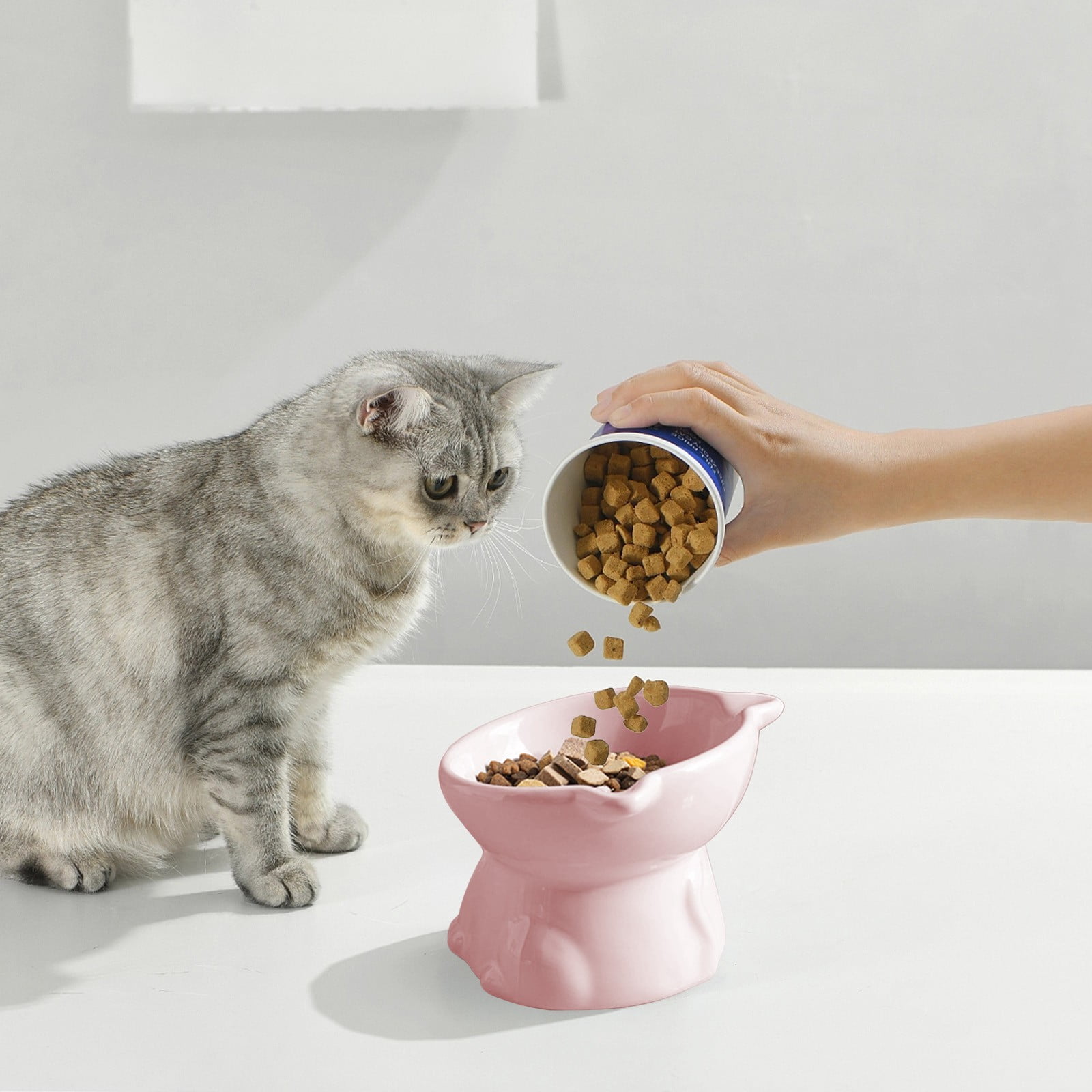 Elevated Cat Food and Water Dish Pet Bowl,Cat Food Dish Ceramic Cat Dishes for Food,Pet Bowls Dog Food and Water Bowl,Cat Must Haves for Indoor Cats