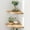 Oak, variant on Corner Shelves, Floating Corner Shelf, Set of 2 12inch Solid Oak Wood Corner Wall Shelves, Round End with Wire Hole for Small Plant for Bedroom Kitchen, Living Room