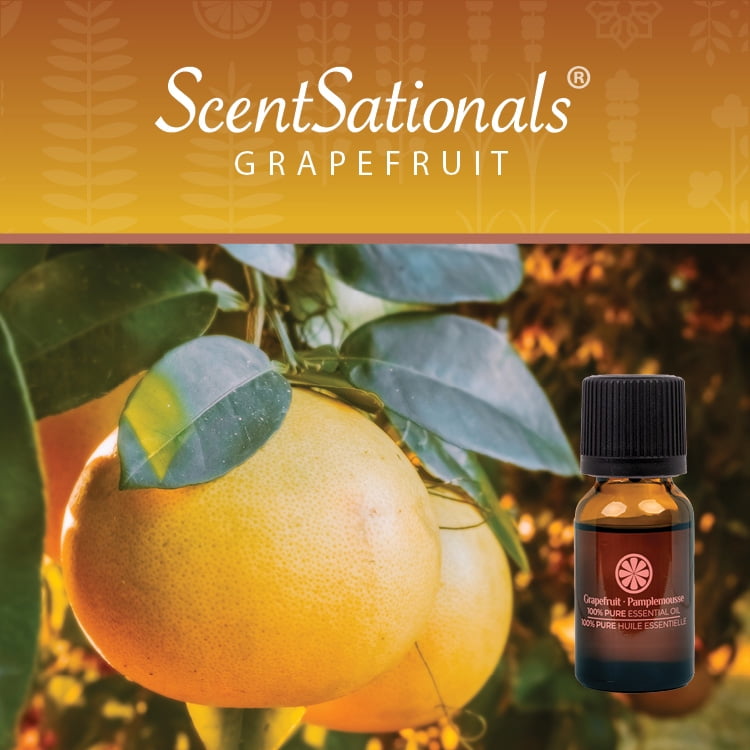 Huile Essentielle 100% ScentSationals - Pamplemousse