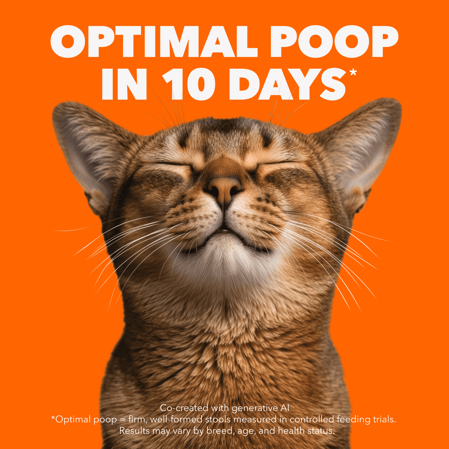 IAMS PROACTIVE HEALTH Healthy Senior Dry Cat Food with Chicken, 3.18kg Bag